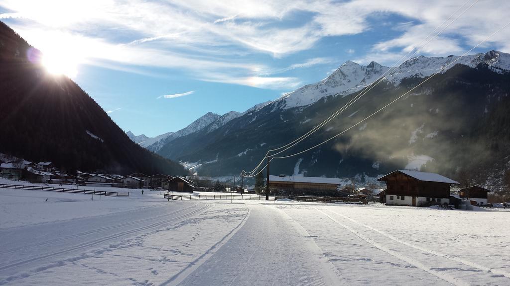 Pension Nigella Neustift im Stubaital Exterior foto